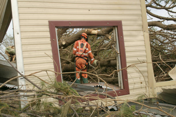 How Our Tree Care Process Works  in  Wyandotte, MI